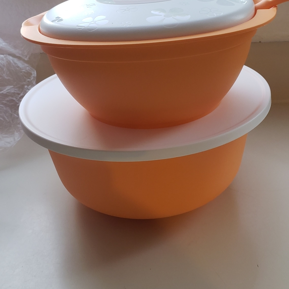 Tupperware - Picture 5 of 16